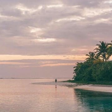 Ảnh đại diện người dùng Anh Thư